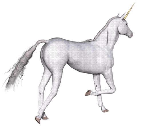 white unicorn fantasy - ücretsiz png