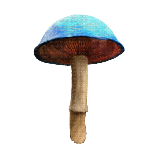 kikkapink deco scrap mushroom fantasy - PNG gratuit