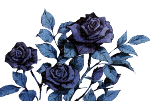 utena roses - ücretsiz png