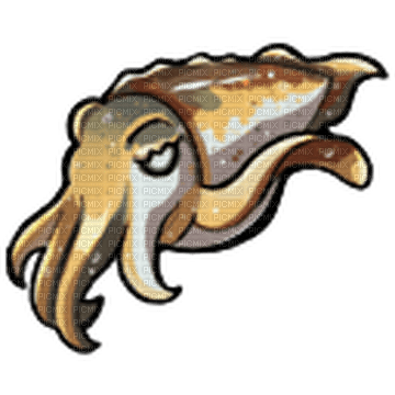 Cuttlefish - zdarma png