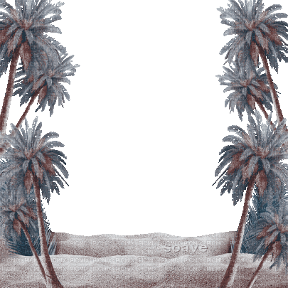 soave frame summer animated beach palm blue brown - Free animated GIF