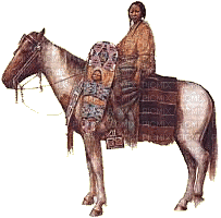 az indien cheval - Darmowy animowany GIF