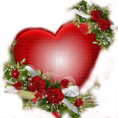 red heart valentine rouge coeur valentine