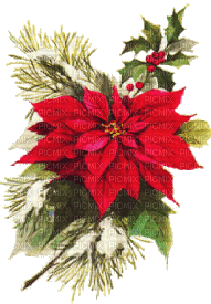 Christmas-flowers - Darmowy animowany GIF