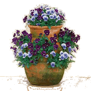 flores-l - δωρεάν png