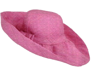 pink-hat- Nitsa P - nemokama png