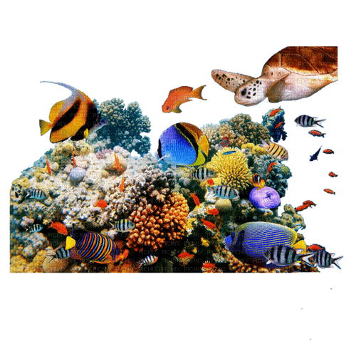 Aquarium - png grátis
