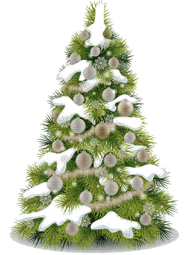 Christmas Tree - Bogusia - png grátis