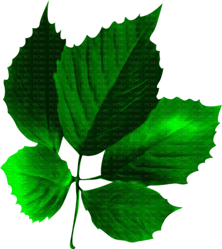 Leaf.Green - png gratis