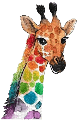 nbl-giraffe - zdarma png