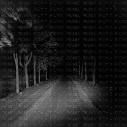 darkroad scary - Free animated GIF