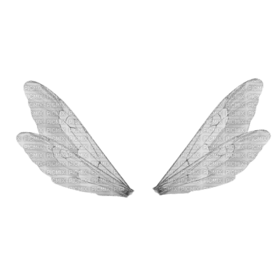 Fairy Wings - δωρεάν png
