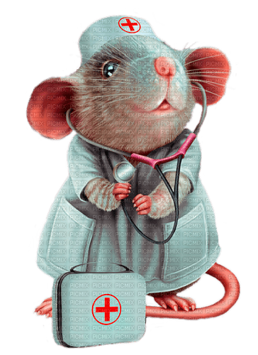 mouse - doctor by nataliplus