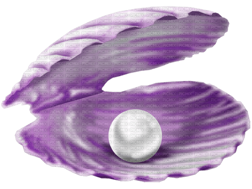Seashell.Pearls.Purple.White - ingyenes png