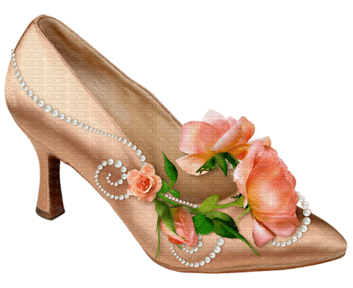 Zapatos de mujer - PNG gratuit
