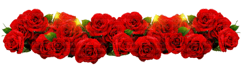 Red roses - GIF animé gratuit