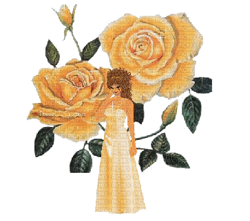 rose orange - Darmowy animowany GIF
