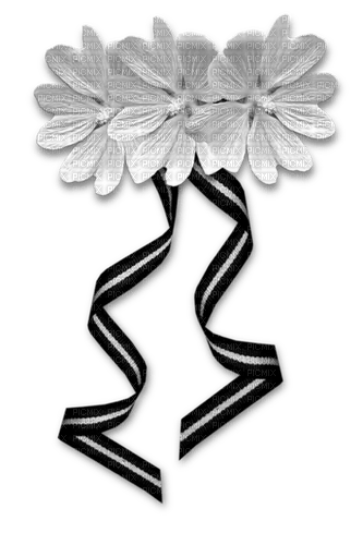 декорцветы бантикгуля - png gratis
