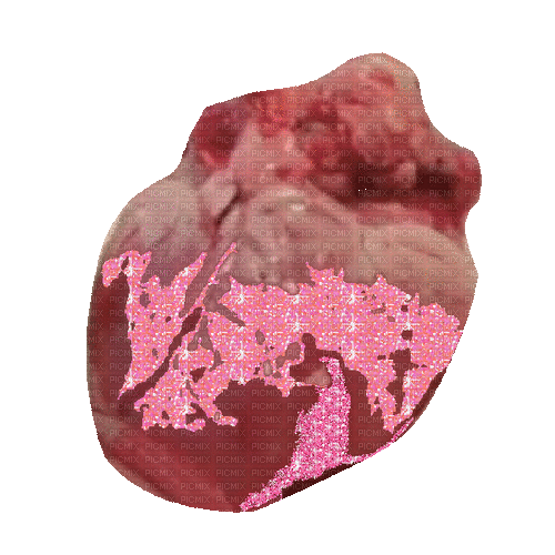 human heart - Бесплатный анимированный гифка