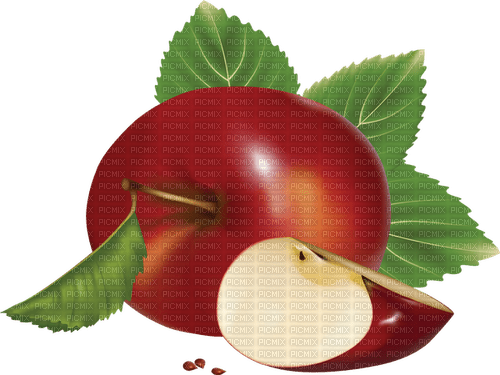 apfel apple milla1959 - png gratis