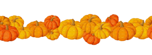 pumpkin border Bb2 - png gratis