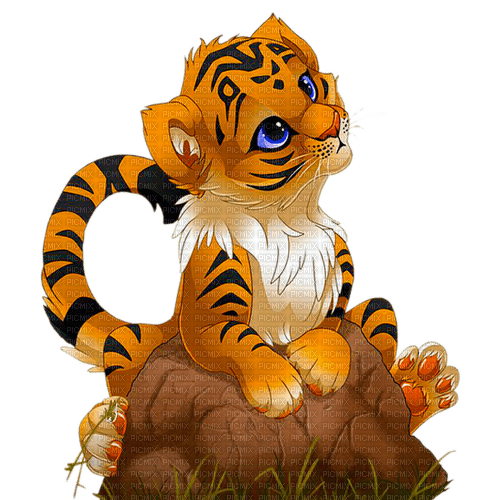 tiger  by nataliplus - bezmaksas png