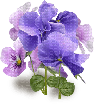 blommor-lila - darmowe png