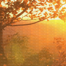 Background Autumn - Ilmainen animoitu GIF