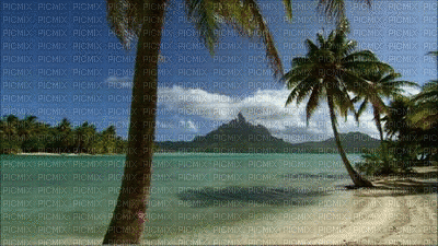 Beach - Zdarma animovaný GIF