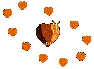 coe s34 orange - Ilmainen animoitu GIF