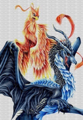 dragon phenix - png gratis