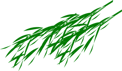 bamboo branch bambou branche - δωρεάν png