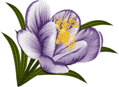 Kaz_Creations Deco Flowers Flower  Purple - png gratis