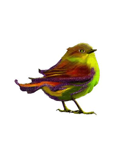 Bird.Oiseau.Pájaro.gif.Victoriabea - Free animated GIF