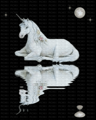 Night unicorn - GIF animado grátis