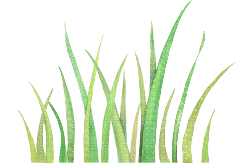grass Bb2 - png grátis