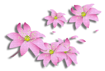 Y.A.M._Summer Flowers Decor - δωρεάν png