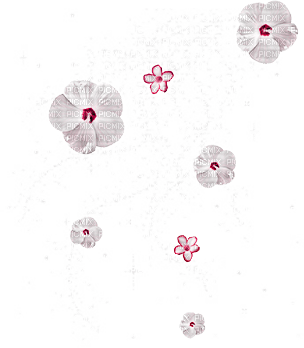 soave deco flowers scrap white pink - png grátis
