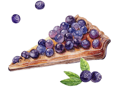 blueberry tart watercolor Bb2 - 無料png