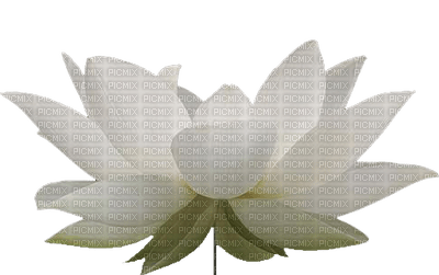 Kaz_Creations Deco Flower Flowers Colours - PNG gratuit