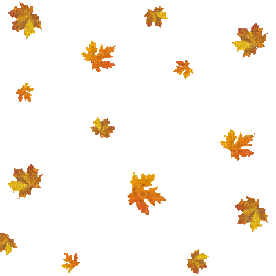 autumn leaves - GIF animé gratuit