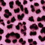 fundo onça rosa-pink back gif - 無料のアニメーション GIF