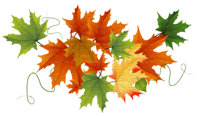 Kaz_Creations Autumn Fall Leaves Leafs - ingyenes png
