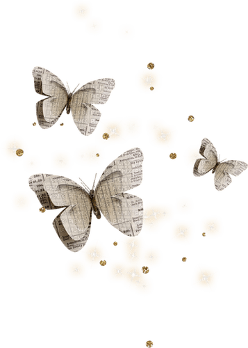 butterflies Bb2 - PNG gratuit