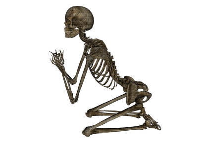 skeleton katrin - gratis png