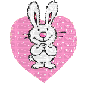 bunny - Gratis animerad GIF