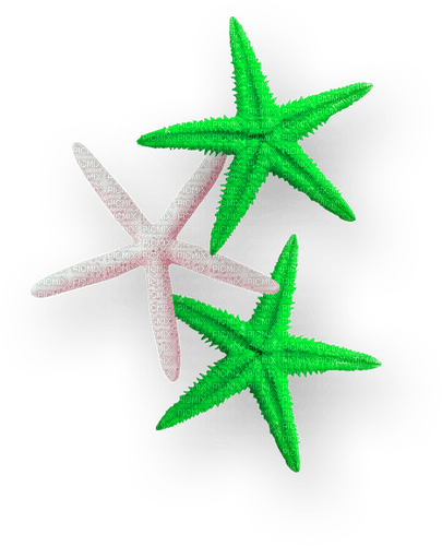 Starfish.Green.White - 無料png