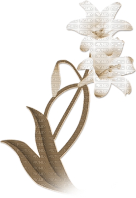 soave deco branch flowers spring lilies sepia - PNG gratuit