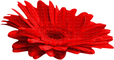 Kaz_Creations Red Scrap Deco Flower - nemokama png