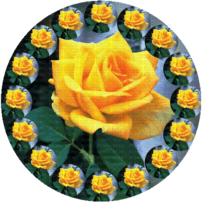 Blumen/Flowers - Darmowy animowany GIF